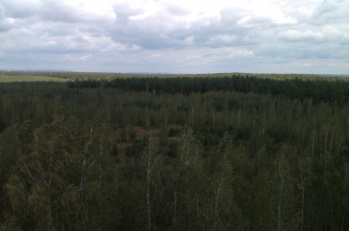 IMAG0750.jpg